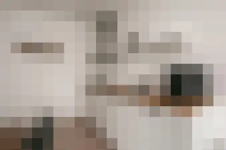 Battutalaan 665 Utrecht thumbnail 7