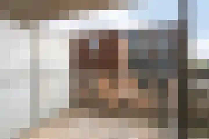 Battutalaan 665 Utrecht thumbnail 9