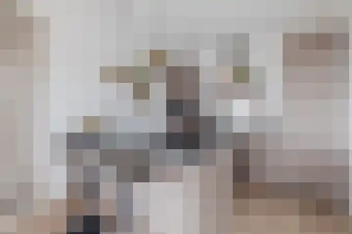Battutalaan 683 Utrecht thumbnail 12