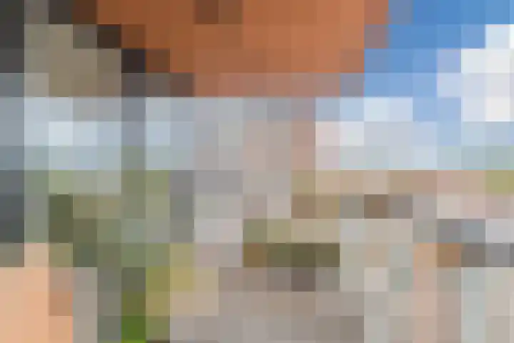 Battutalaan 683 Utrecht thumbnail 29
