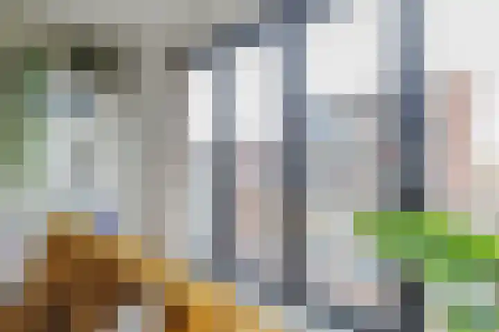 Battutalaan 683 Utrecht thumbnail 4