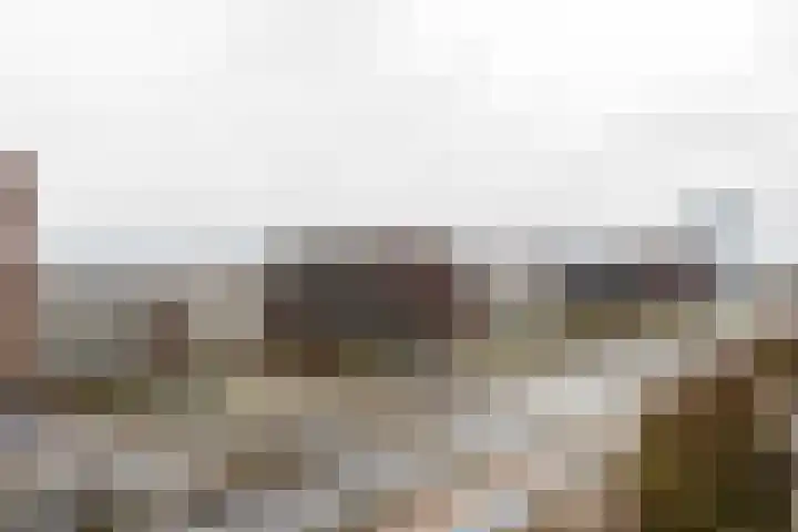 Battutalaan 693 Utrecht thumbnail 22