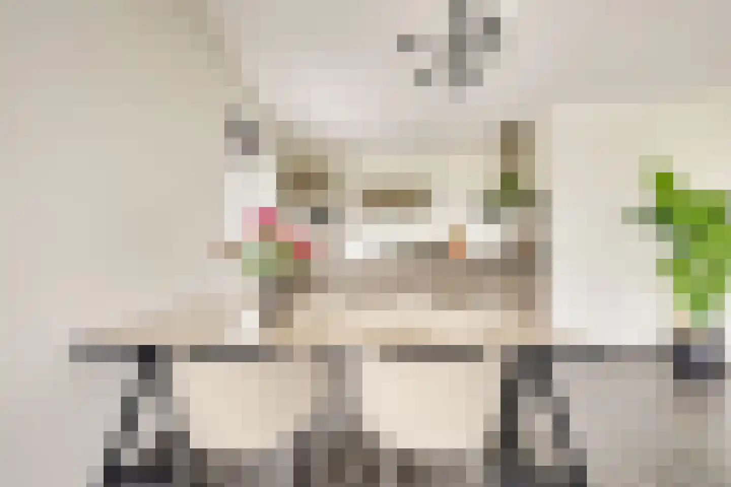Battutalaan 739 Utrecht thumbnail 20