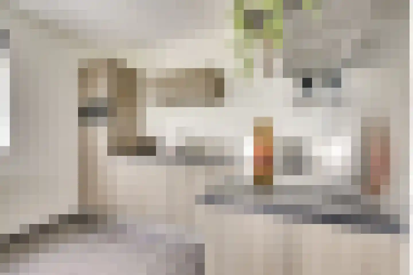 Battutalaan 739 Utrecht thumbnail 21