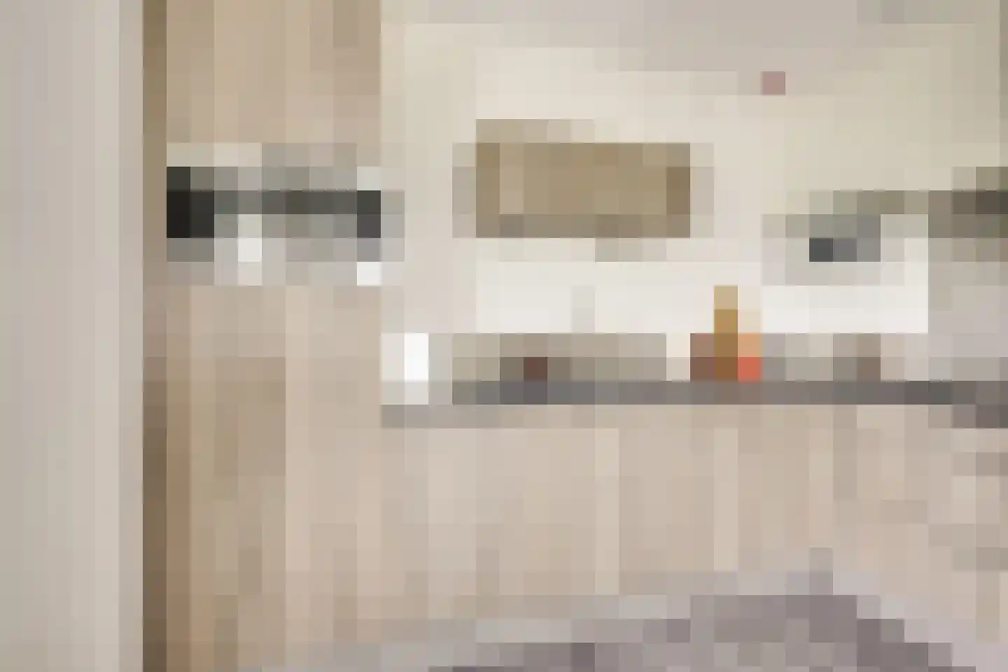 Battutalaan 739 Utrecht thumbnail 22