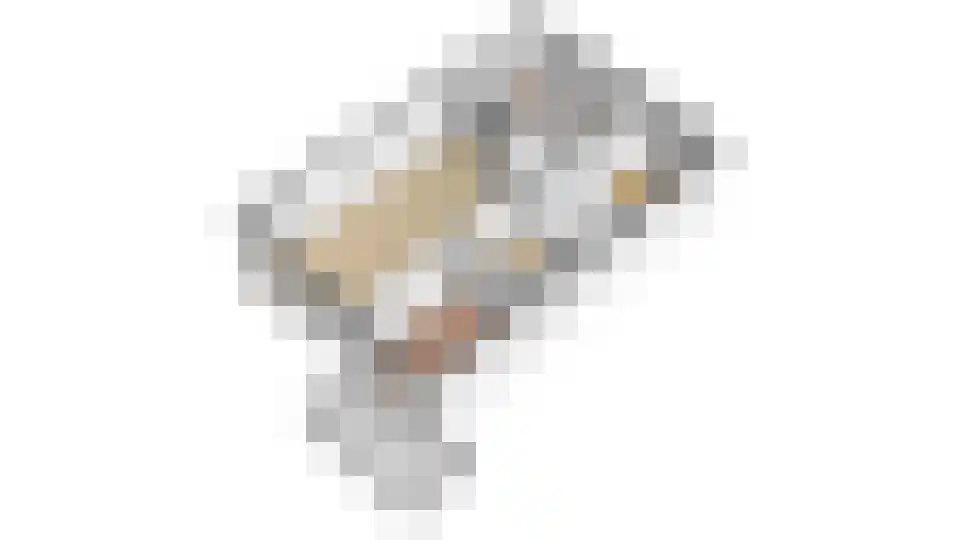 Battutalaan 739 Utrecht thumbnail 38