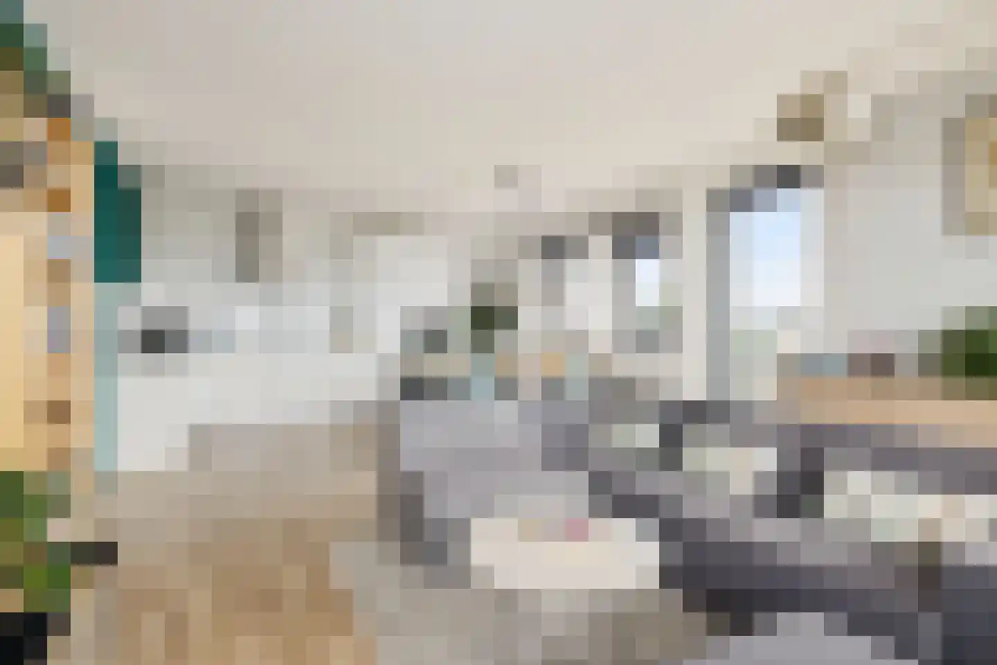Battutalaan 757 Utrecht thumbnail 13