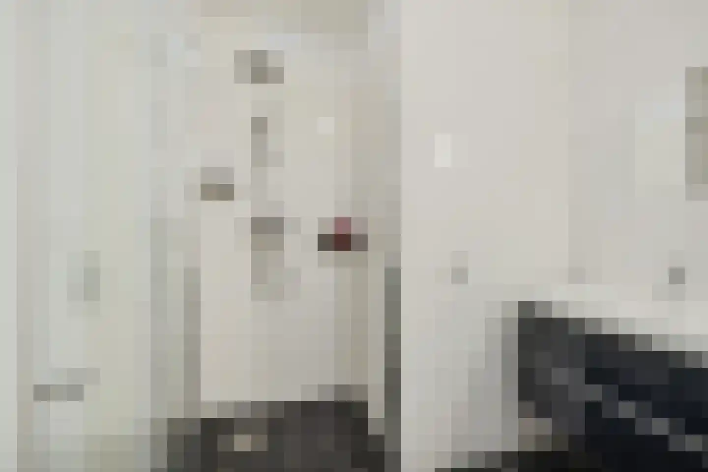 Battutalaan 757 Utrecht thumbnail 22