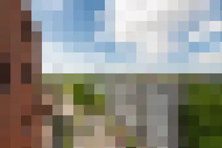 Battutalaan 761 Utrecht thumbnail 10