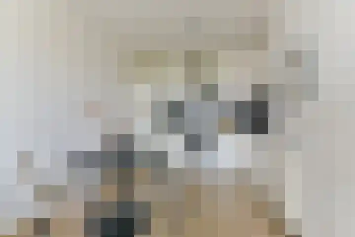 Battutalaan 761 Utrecht thumbnail 13