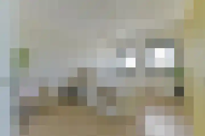 Battutalaan 761 Utrecht thumbnail 23