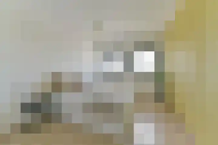 Battutalaan 761 Utrecht thumbnail 24