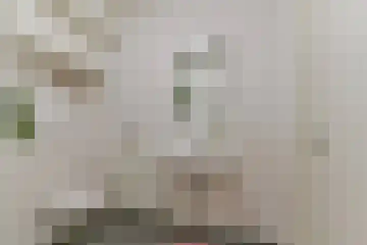 Battutalaan 761 Utrecht thumbnail 28