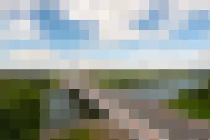 Battutalaan 761 Utrecht thumbnail 9