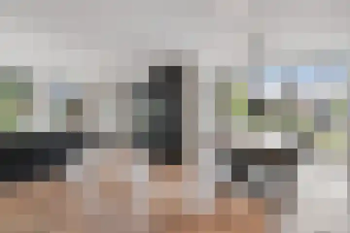 Batua 16 Huissen thumbnail 10