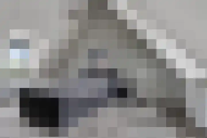 Batua 16 Huissen thumbnail 16