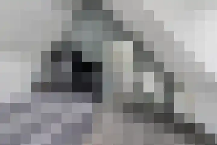 Batua 16 Huissen thumbnail 17