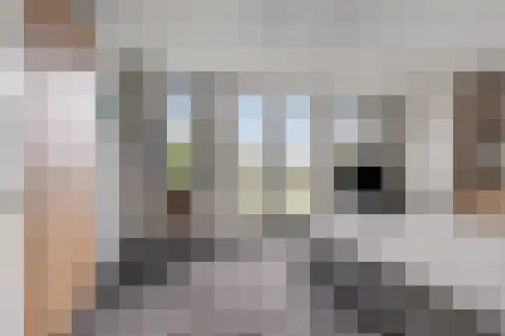 Batua 16 Huissen thumbnail 20