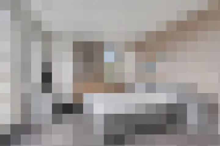Batua 16 Huissen thumbnail 21
