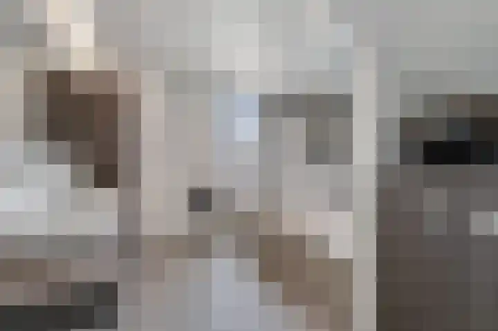 Batua 16 Huissen thumbnail 23