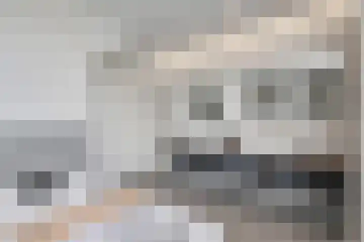 Batua 16 Huissen thumbnail 25