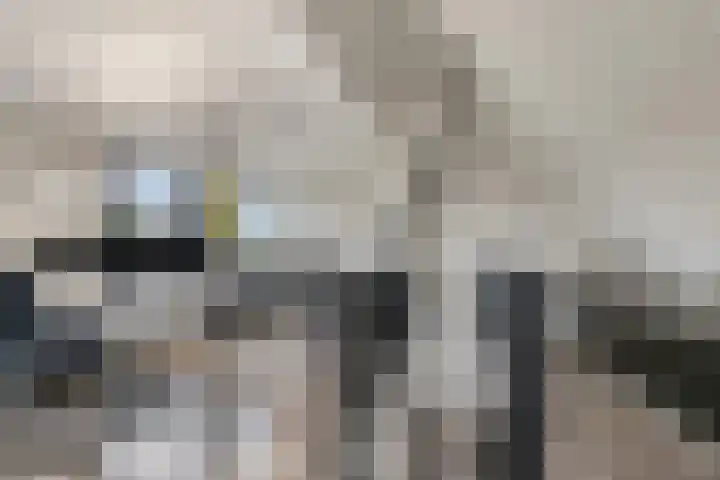 Batua 16 Huissen thumbnail 27