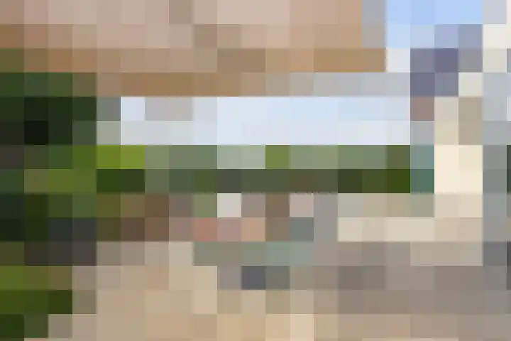 Batua 16 Huissen thumbnail 36