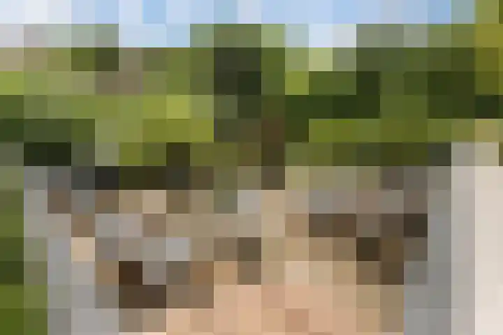 Batua 16 Huissen thumbnail 39