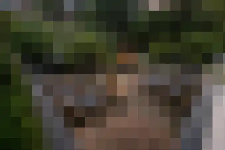 Batua 16 Huissen thumbnail 40