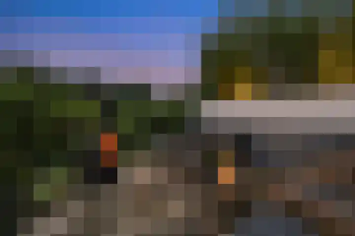 Batua 16 Huissen thumbnail 41
