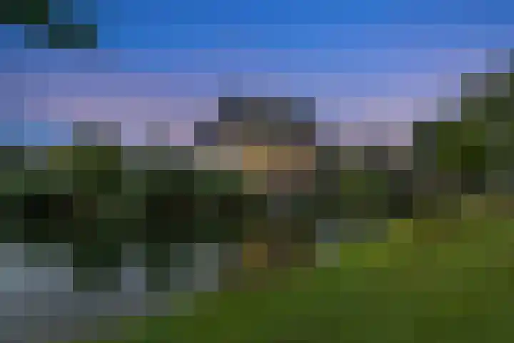 Batua 16 Huissen thumbnail 43