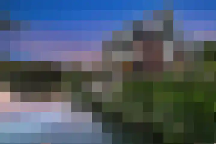 Batua 16 Huissen thumbnail 44