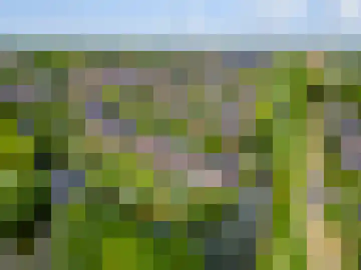 Batua 16 Huissen thumbnail 46