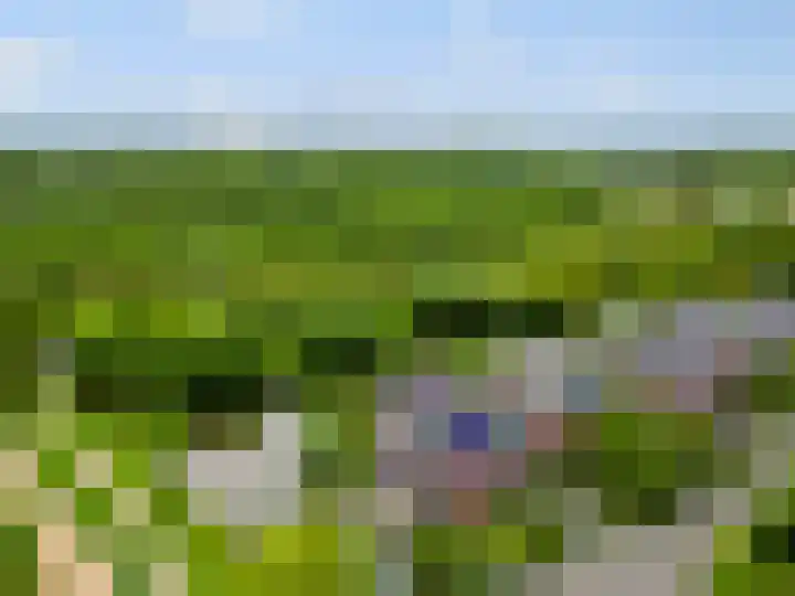 Batua 16 Huissen thumbnail 47