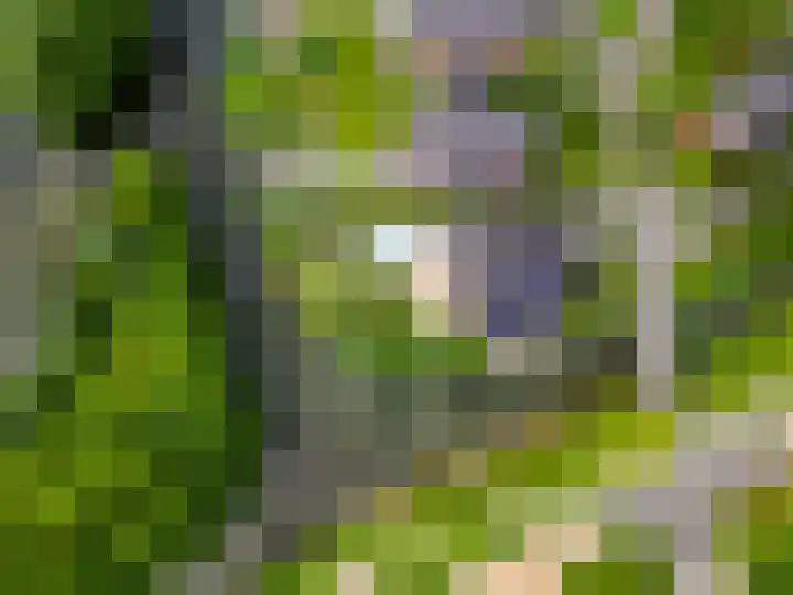 Batua 16 Huissen thumbnail 48
