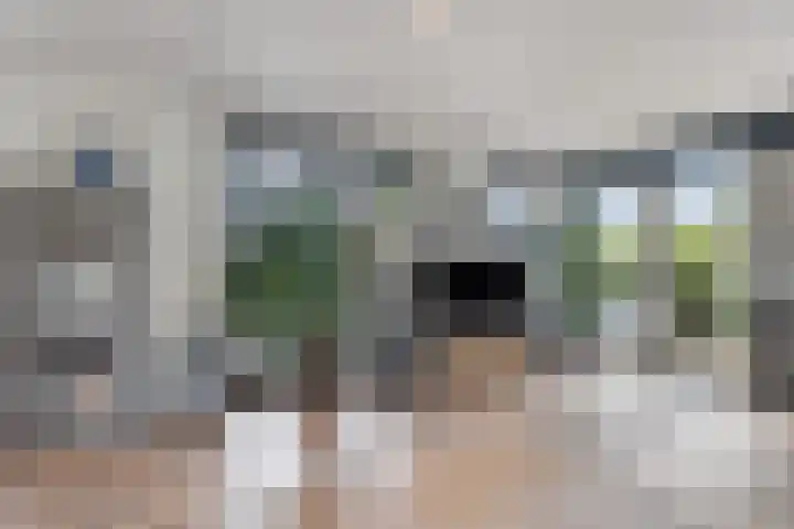 Batua 16 Huissen thumbnail 7