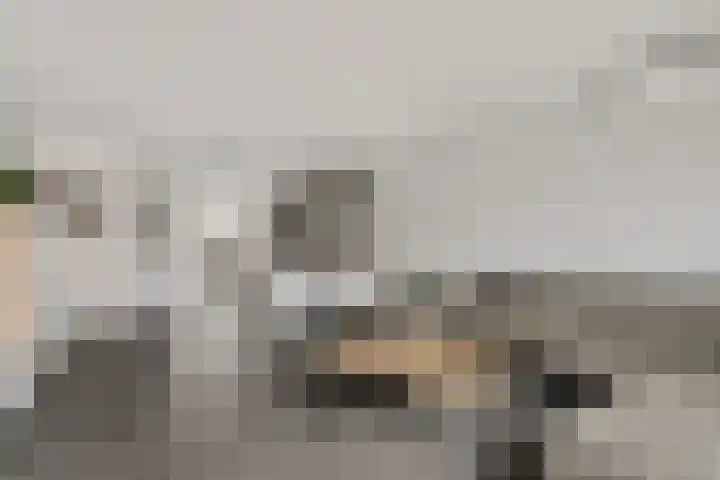 Batua 39 Huissen thumbnail 11