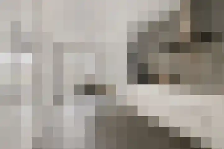 Batua 39 Huissen thumbnail 12