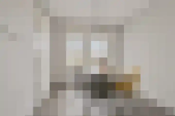 Batua 39 Huissen thumbnail 13