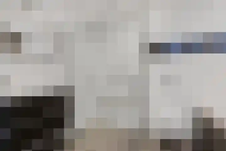Batua 39 Huissen thumbnail 17