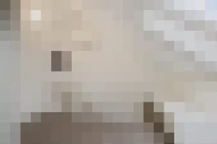 Batua 39 Huissen thumbnail 21
