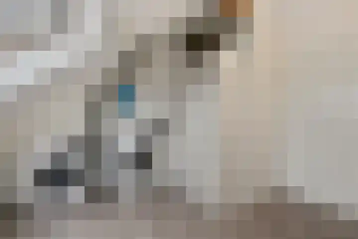 Batua 39 Huissen thumbnail 22
