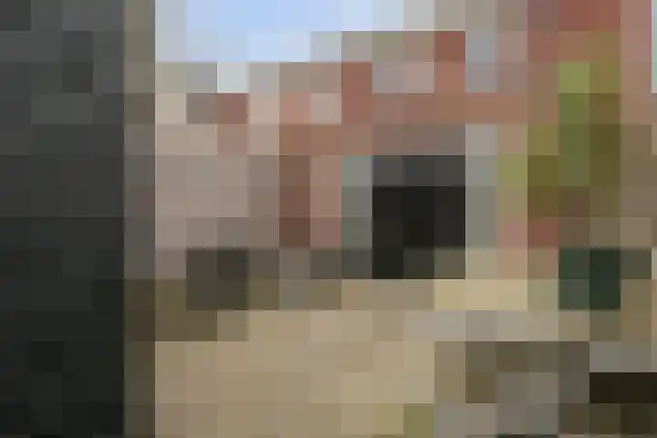 Batua 39 Huissen thumbnail 25