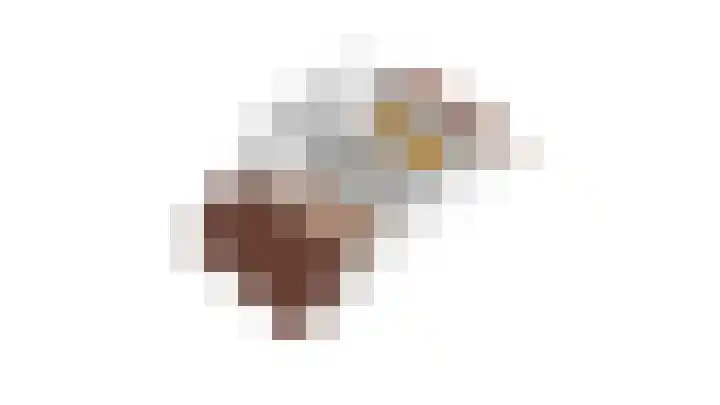 Batua 39 Huissen thumbnail 37