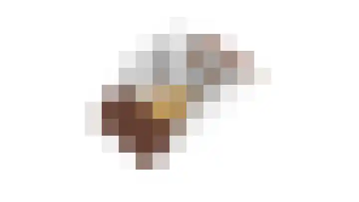 Batua 39 Huissen thumbnail 38