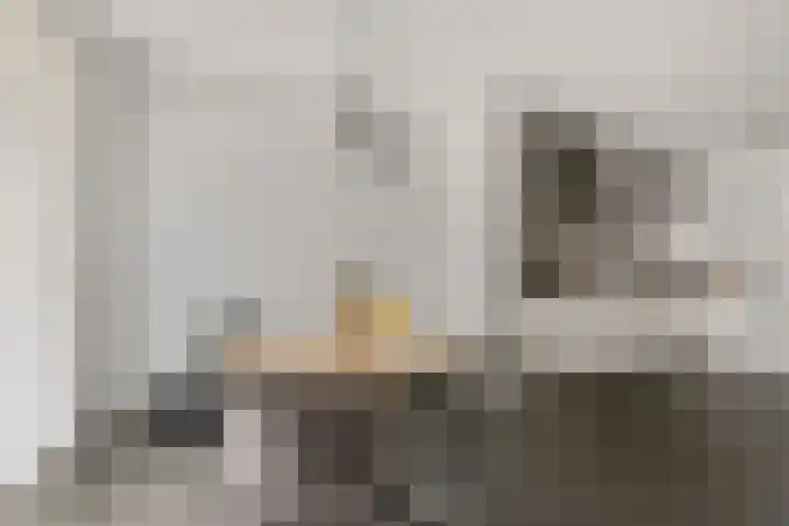 Batua 39 Huissen thumbnail 6