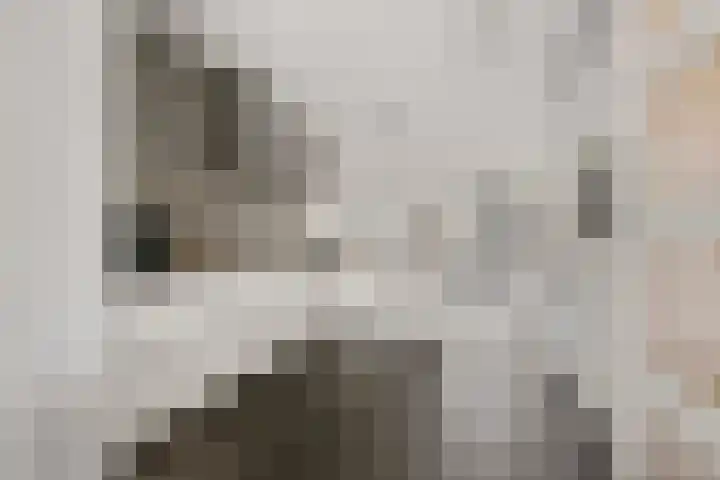 Batua 39 Huissen thumbnail 7