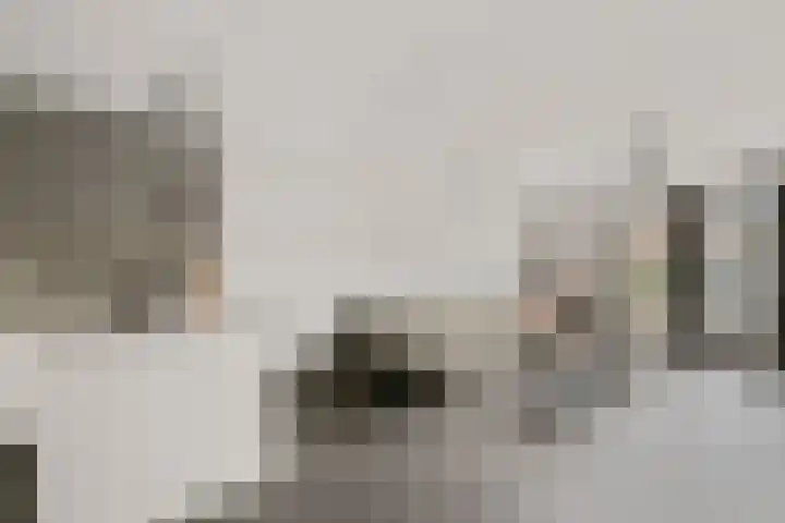 Batua 39 Huissen thumbnail 9
