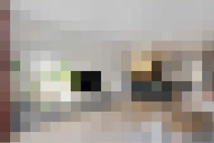 Batua 81 Huissen thumbnail 12