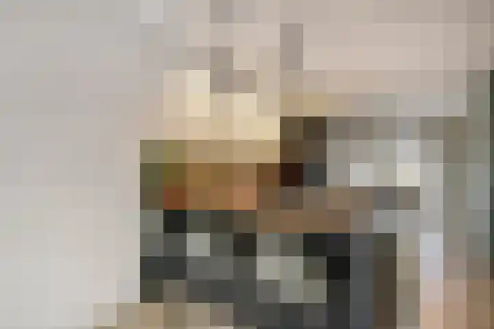Batua 81 Huissen thumbnail 13